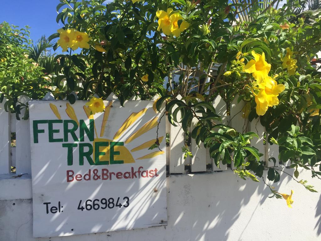 Fern Tree Bed And Breakfast Frigate Bay ภายนอก รูปภาพ