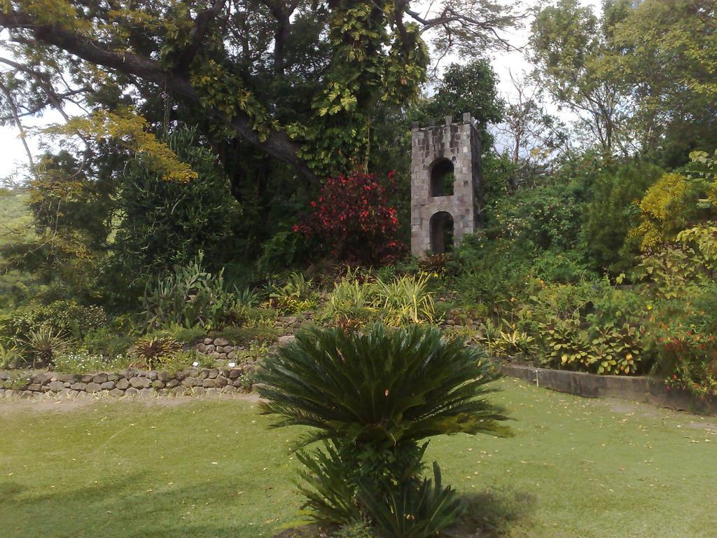 Fern Tree Bed And Breakfast Frigate Bay ภายนอก รูปภาพ